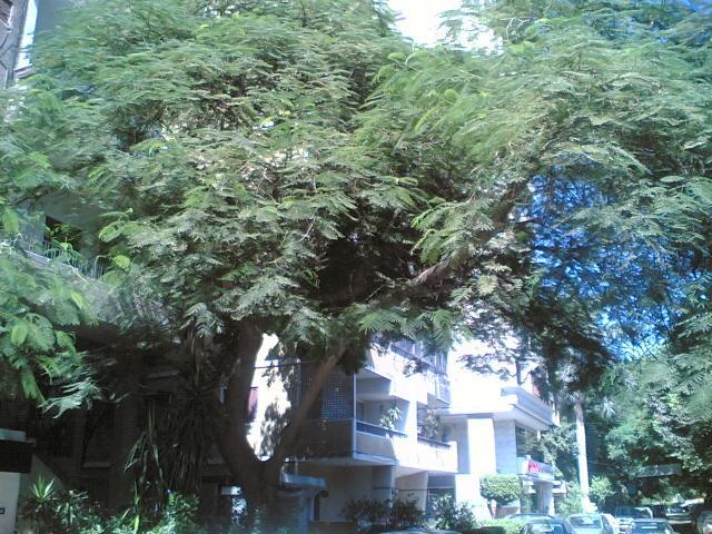 Fully Equipped , 3 Bedroom ,centrally Located Flat In Mohandsseen Apartment